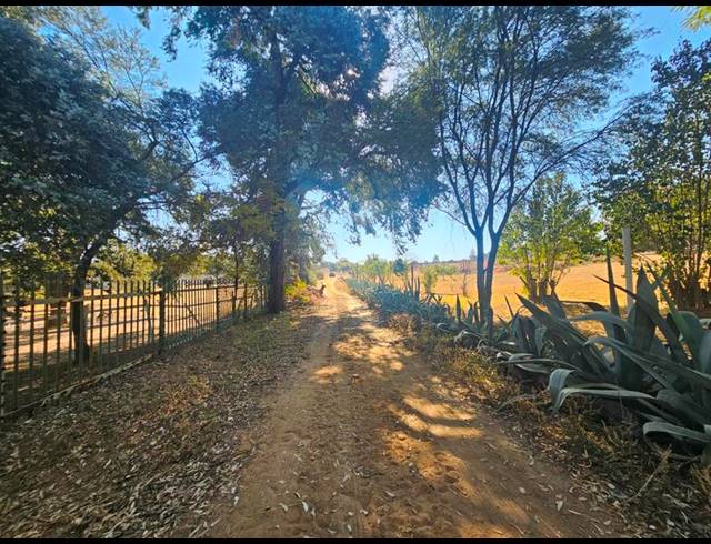 FARM FOR SALE IN ZONNEHOEWE